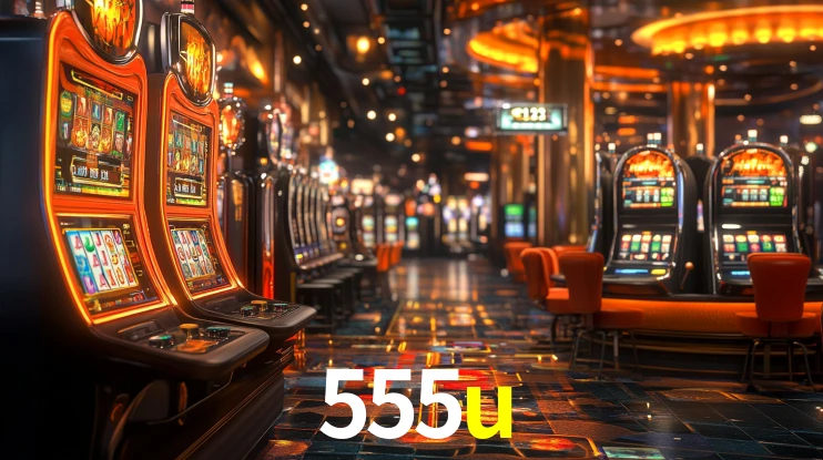Premium Interface 555u