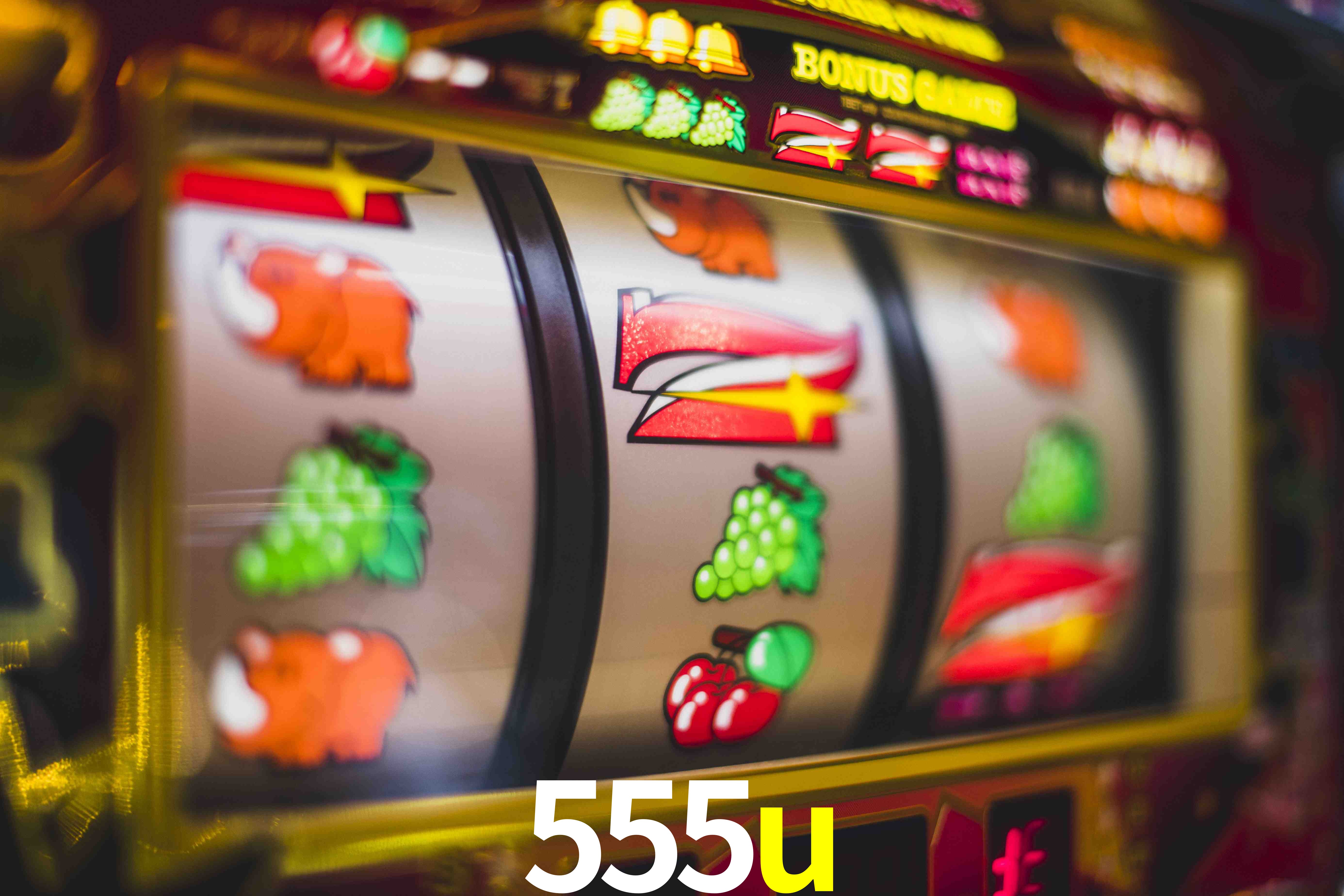 Sports Statistics 555u